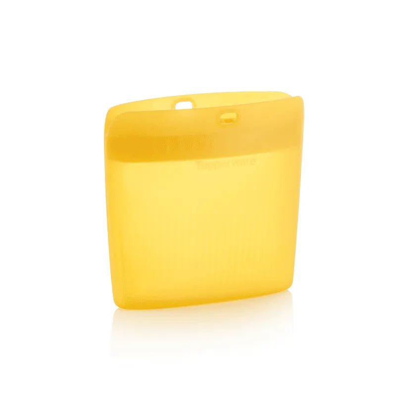 Silicon Bag