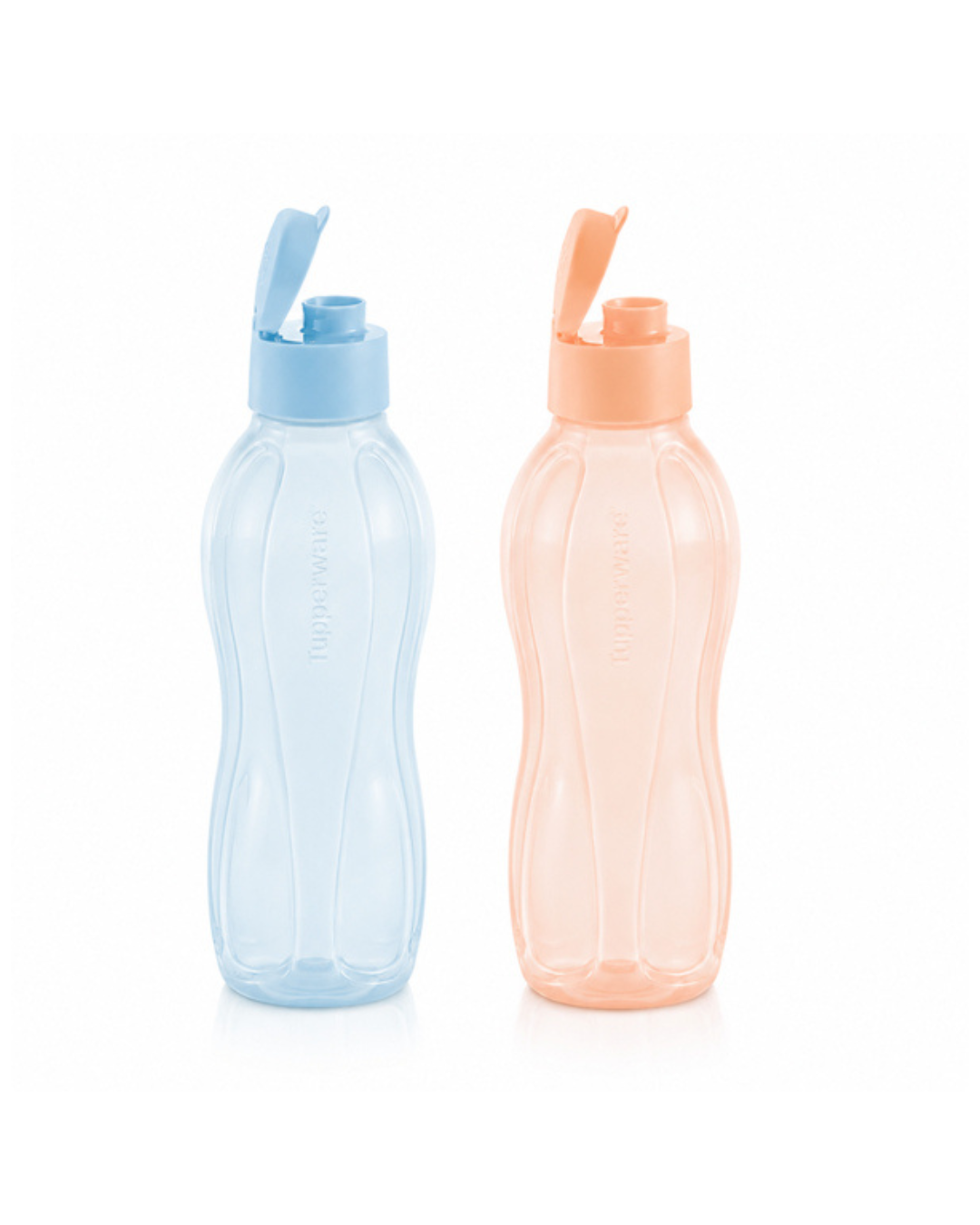 2x ECOFles, 1L