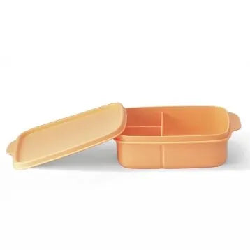 Vakjeslunchbox Vierkant, 550ml